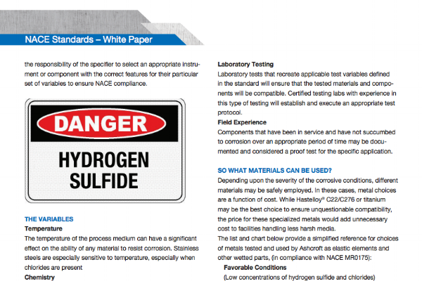 Captura de pantalla 2 de las normas NACE