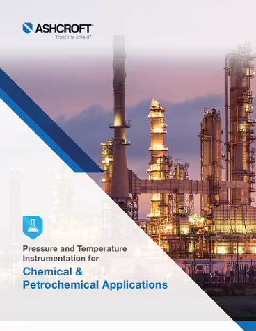 cover-image-chemical-petrochemical-guide